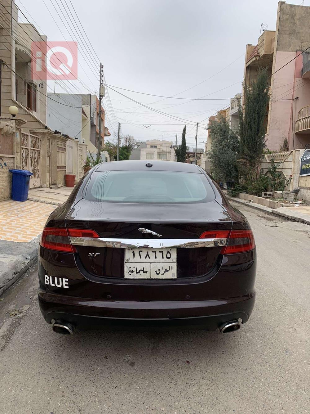 جاگوار XF